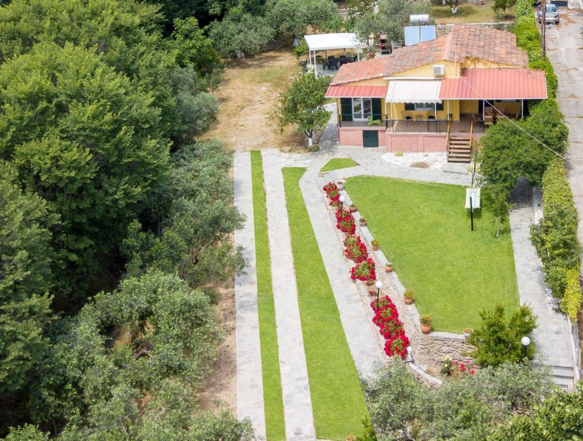 Xenophon House Villa PalaiónTsiflíkion Exteriör bild
